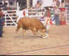 Rodeo_99006.jpg (55017 bytes)