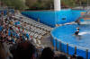 Sea World